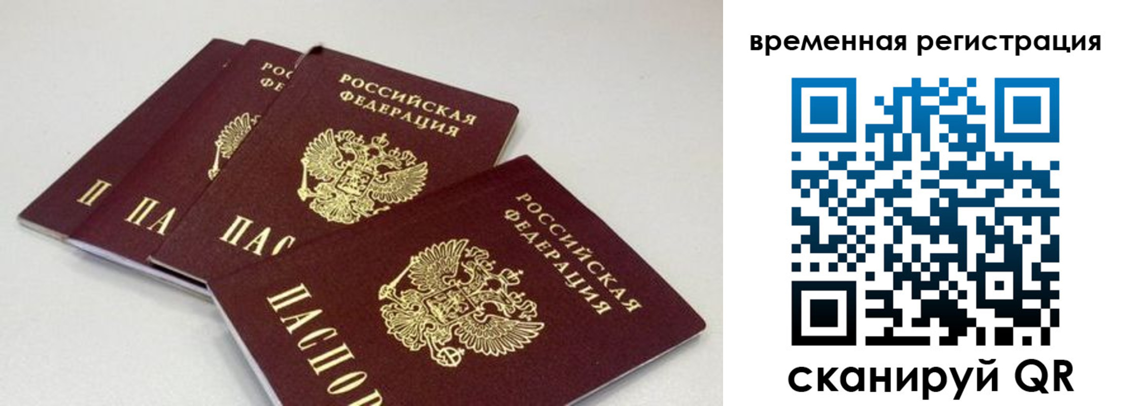 временная регистрация собственник в Гатчине